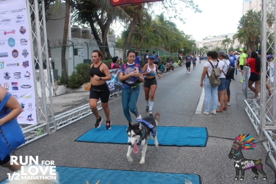 Run for Love 2024